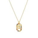 Damhalsband med bokstaven D697 11