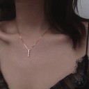 Damhalsband med stång 1