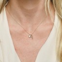 Damhalsband med lås och nyckel 3