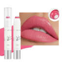 2in1 matte wasserfeste Lippenstift und Feuchtigkeitsbalsam 3 g Langanhaltendes Make-up Wischfest Ernährung und Pflege der Lippen 6