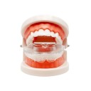 3 fasi apparecchi ortodontici per adulti Correttore trasparente 3 durezze per correzione dei denti e miglioramento del sorriso 3