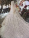 3 m Cathedral Wedding Veil Single Layer Sparkly Tulle Luxury Sparkle Effect Long Veil for Bride 4