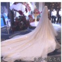 3 m Cathedral Wedding Veil Single Layer Sparkly Tulle Luxury Sparkle Effect Long Veil for Bride 7