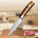 3 Piece Damascus Steel Knife Set C284 2