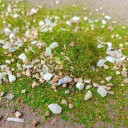 30 g Mallinnusruohosekoite kivillä 12,7 x 8,1 cm Koristeellinen maaperän ja kasvillisuuden seos dioraamaan mallimaisemaa varten 5