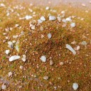 30 g Miscela di erba modellistica con ciottoli 12,7 x 8,1 cm Decorazione per la copertura del terreno e vegetazione per diorami e paesaggi 4