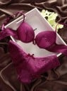 Set sexy de chiloți și sutiene pentru femei 6