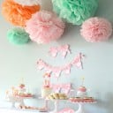 Dekoration pom poms 5 st 24