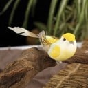 Décoration oiseau 12 pcs 3