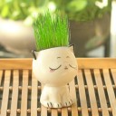 Dekorativ kattblomkruka 4