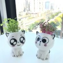 Dekorativ kattblomkruka 6