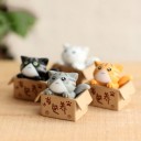 Dekorativ miniatyrkatt i en låda 5