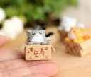 Dekorativ miniatyrkatt i en låda 6