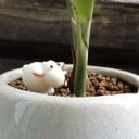 Miniatures décoratives d'animaux 10 pcs 9