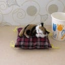 Coussin décoratif avec un chat 3