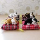 Coussin décoratif avec un chat 5
