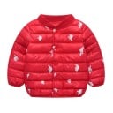 Chaqueta de invierno para niños L1978 3