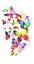 3D Butterfly fali dekoráció - 12 db 4