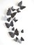 3D Butterfly fali dekoráció - 12 db 6