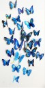 3D Butterfly Vægdekoration - 12 stk 3