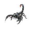3D calcomanía para coche con motivo realista de un animal Adorno para el capó o el guardabarros con efecto tridimensional Tamaño aproximadamente 2