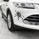 3D calcomanía para coche con motivo realista de un animal Adorno para el capó o el guardabarros con efecto tridimensional Tamaño aproximadamente 9