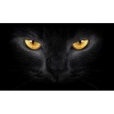 3D Car Rear Window Sticker 3