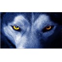 3D Car Rear Window Sticker 6