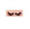 3D False Eyelashes 12