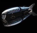 3D Fish Eye lokkemad J3213 20