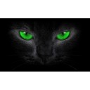 3D-mærkat til bilens bagrude 3