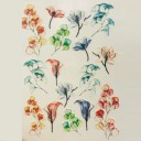 3D Nail Stickers P3349 6