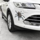 3D samolepka na auto s realistickým motivem živočicha Ozdoba na kapotu nebo blatník s prostorovým efektem Velikost přibližně 16 až 18 cm 9