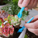 4 Piece Set of Mini Garden Tools for Succulents Trowel Bucket Fork Stick Small Repotting Tools for Pots and Cacti 4