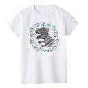 Camiseta infantil dinosaurio B1576 1