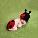 Disfraz de mariquita para sesión de fotos de niña 1