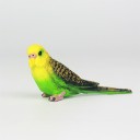 Budgie statyett 6