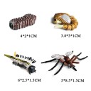 Myggans livscykelfigurer 4 st 2