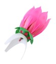 Musikalisk lotus 2