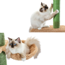 5-laags kattenkrabpaal 229 cm Verstelbare hoogte Cactus ontwerp Hangmat Hangspeeltje Sisal touw en tapijt 2