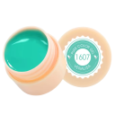 5 ml UV LED βερνίκι νυχιών για ζωγραφική Soak Off στερεοποιούμενο βερνίκι νυχιών κατάλληλο για οικιακή και επαγγελματική χρήση 20