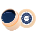 5 ml UV LED βερνίκι νυχιών για ζωγραφική Soak Off στερεοποιούμενο βερνίκι νυχιών κατάλληλο για οικιακή και επαγγελματική χρήση 31