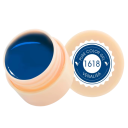 5 ml UV LED esmalte de uñas para pintar Soak Off curable esmalte de arte de uñas adecuado para uso doméstico y profesional 28