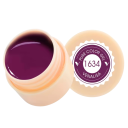 5 ml UV LED kynsilakka maalaamiseen Soak Off kovettuva nail art lakka sopii kotikäyttöön ja ammattilaisille 32