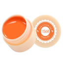 5 ml UV LED lak do paznokci do malowania Soak Off utwardzalny lak do nail art odpowiedni do użytku domowego i profesjonalnego 9