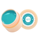 5 ml UV LED Nail Polish for Painting Soak Off Curing Nail Art Polish Suitable for Home and Professional Use 22