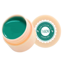 5 ml UV LED smalto per unghie per pittura Soak Off indurente nail art smalto adatto per uso domestico e professionale 21