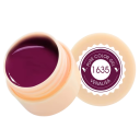 5 ml Vernis à ongles UV LED pour peinture Soak Off vernis à nail art durcissable adapté à un usage domestique et professionnel 33