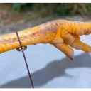 5 stuks vangnet voor gevogelte Vangnet met flexibele stalen draad en nylon touw Effectieve vangst van gevogelte Veilige constructie 2