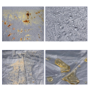 50 pcs Disposable Car Seat Covers 145 x 72 cm Universal Waterproof Transparent Protective Covers for Cars 5